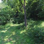 1004 34TH Avenue Drive  Moline IL 61265