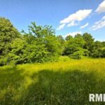 0000 MAYSVILLE Lane  Mt Vernon IL 62864