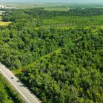 ROUTE 29   Taylorville IL 62568