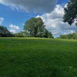 2001 LAUREL Street  Springfield IL 62704