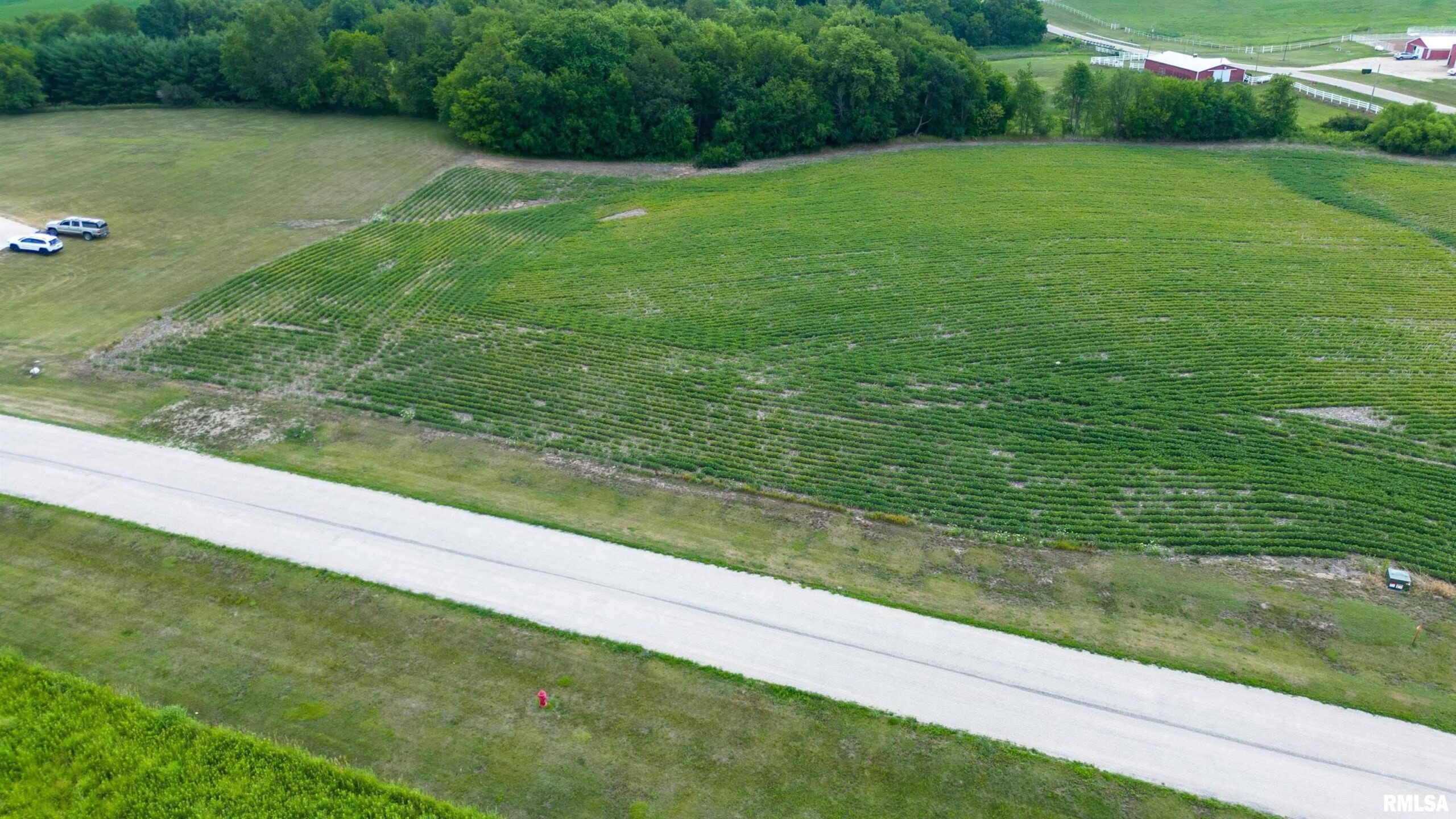 2103 Olof Krans Avenue  Galva IL 61434