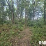 0000 NORTH Avenue  Bluford IL 62814