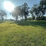 108 MASON Street  Tovey IL 62570