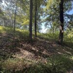 1010 WOODS Road Buncombe IL 62912