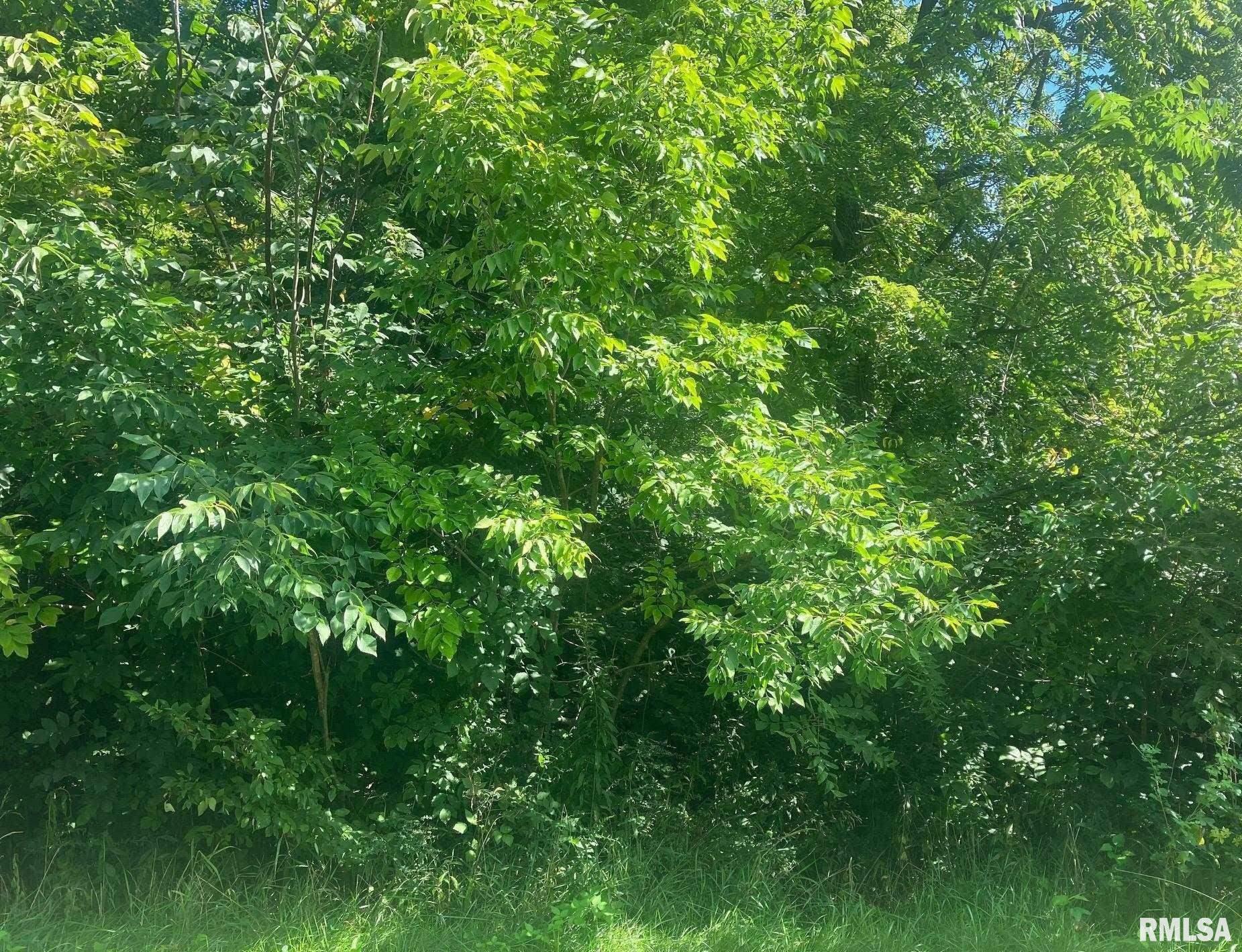 10 SUMMIT Drive  Mackinaw IL 61755
