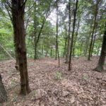 Parrish Ridge Lane  Goreville IL 62939
