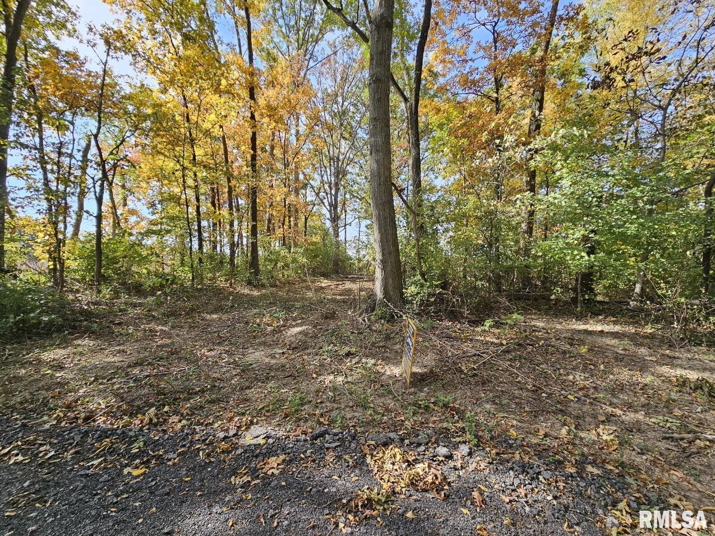 0000 Cash Lane  Waltonville IL 62894
