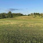 0 LIBERTY Drive Palmyra MO 63461