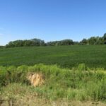 0 Highway 9 County Road  Lewistown IL 61542