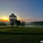 890 Robinson Hill Road Makanda IL 62958