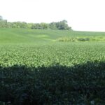 0 Highway 9 County Road  Lewistown IL 61542