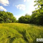 0000 MAYSVILLE Lane  Mt Vernon IL 62864