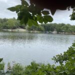 Parrish Ridge Lane  Goreville IL 62939
