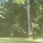 Lot 36 RIDGEWOOD Road  Milan IL 61264