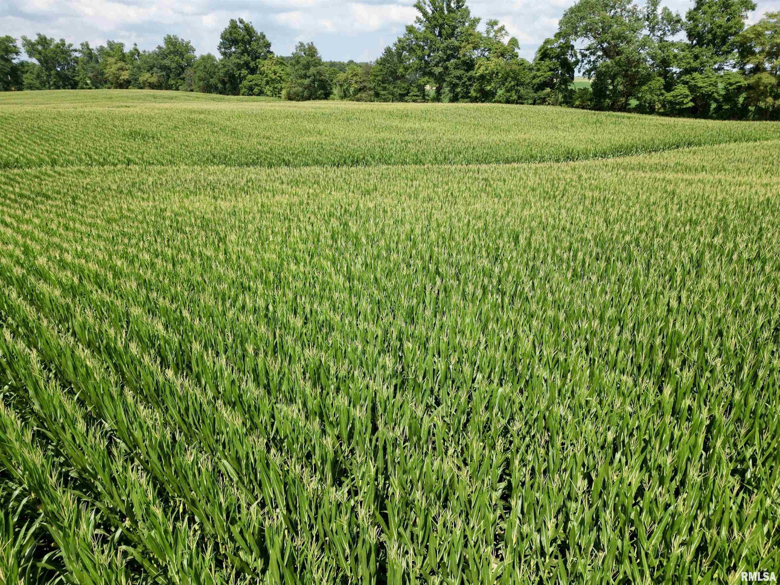 000 RIDGEWAY Road  Eldorado IL 62930