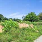 3509 BLUE HERON Court  Springfield IL 62711