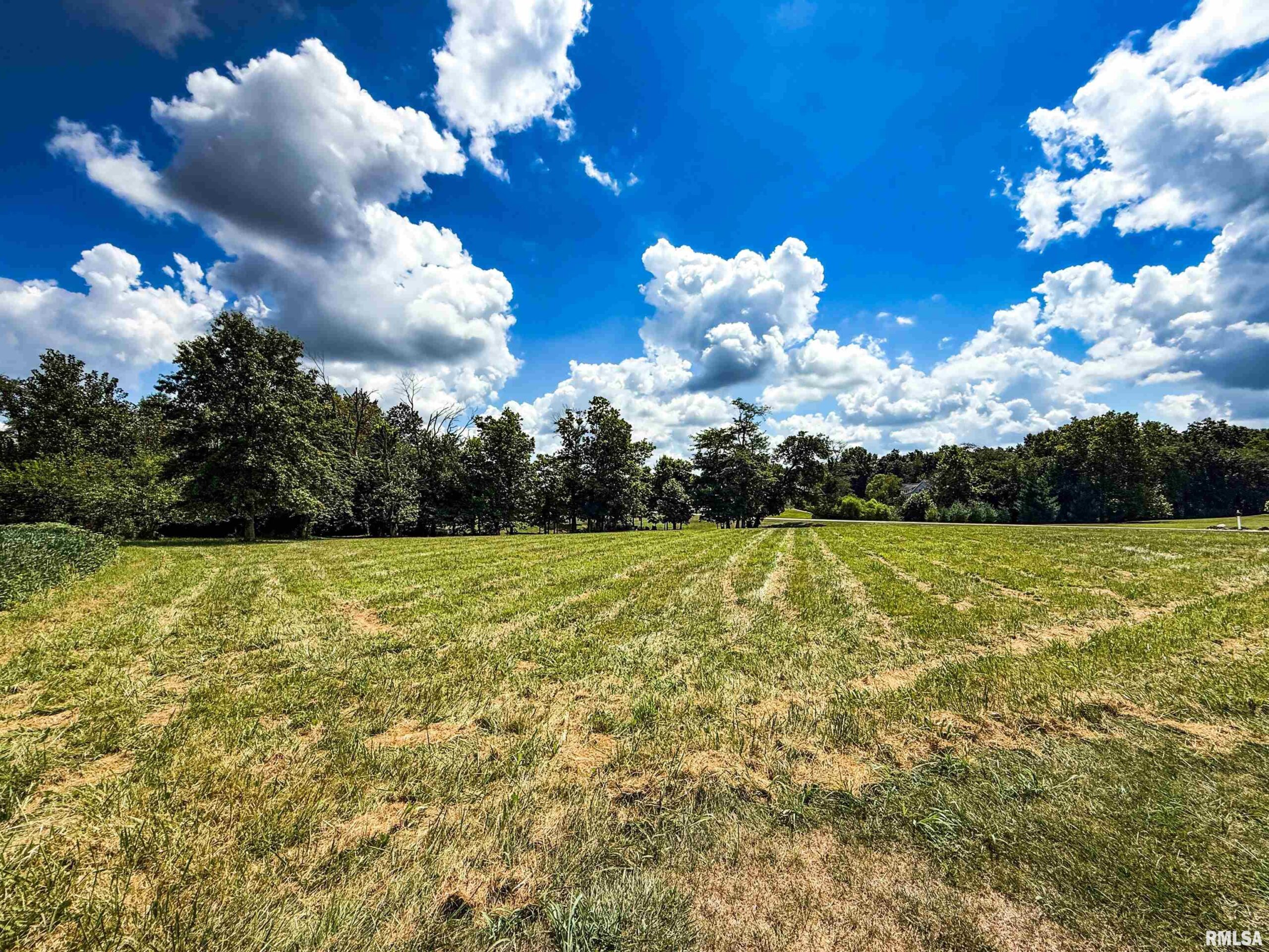 102 DAVIS Drive  Watson IL 62473