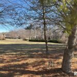 801 COVENTRY Point  Springfield IL 62702