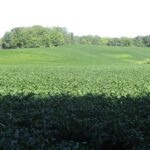 0 Highway 9 County Road  Lewistown IL 61542