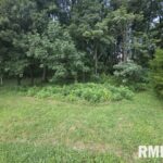 0000 NORTH Avenue  Bluford IL 62814