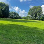 2001 LAUREL Street  Springfield IL 62704