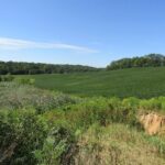 0 Highway 9 County Road  Lewistown IL 61542