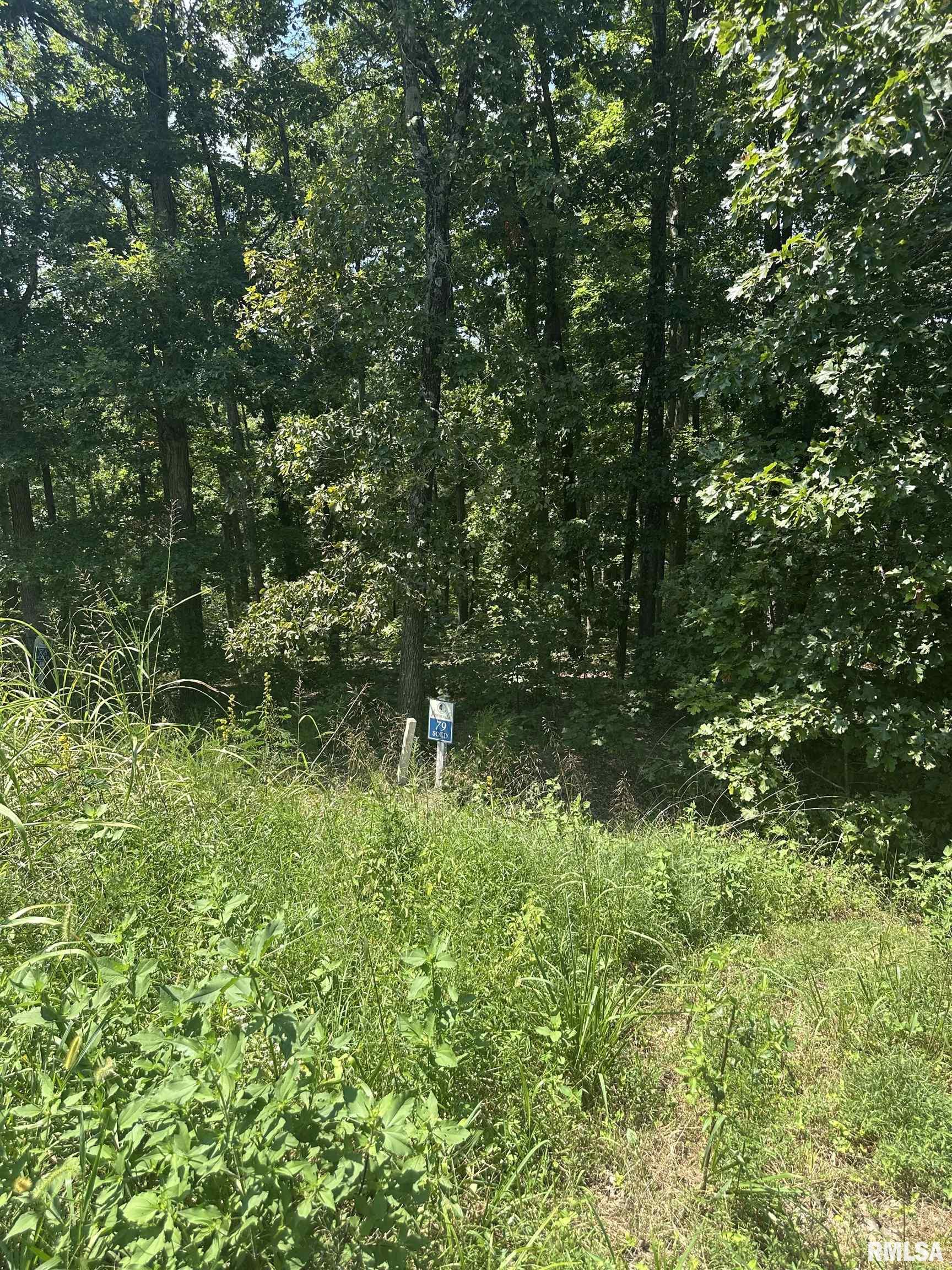 00 HAWTHORNE Point  Goreville IL 62939