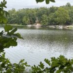Parrish Ridge Lane  Goreville IL 62939