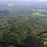 661 Bassett SOUTH County Road 653 K Elizabethtown IL 62931-4413