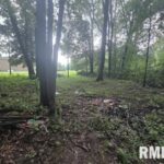 0000 NORTH Avenue  Bluford IL 62814