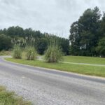 Parrish Ridge Lane  Goreville IL 62939