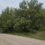 0 County Highway 9   Lewistown IL 61542