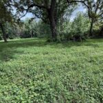 1923 280TH Street  Letts IA 52754