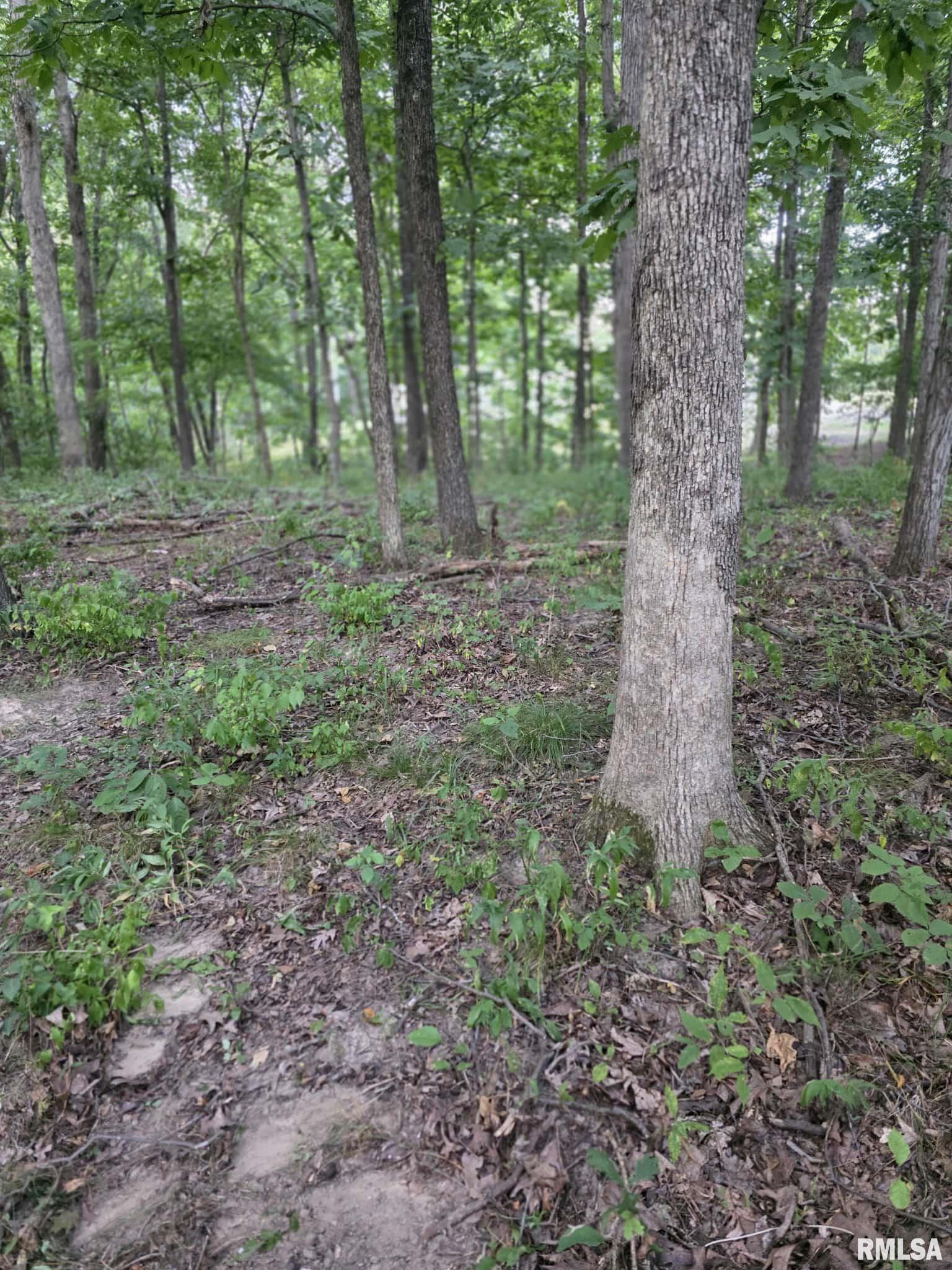 16154 HICKORY Lane Woodlawn IL 62898