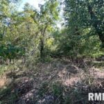 000 Barnett Street  Carterville IL 62918