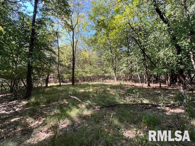 000 Barnett Street  Carterville IL 62918