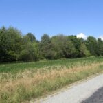 0000 FRISCO Road  Ewing IL 62836