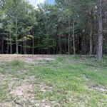 Lot 305 Pecan Point Lane  Goreville IL 62939