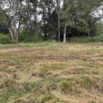 1207 Gentile Street Colp IL 62921