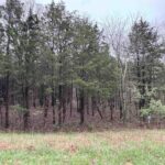 Lot 347 Clifty Lane  Goreville IL 62939
