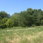 0000 FRISCO Road  Ewing IL 62836