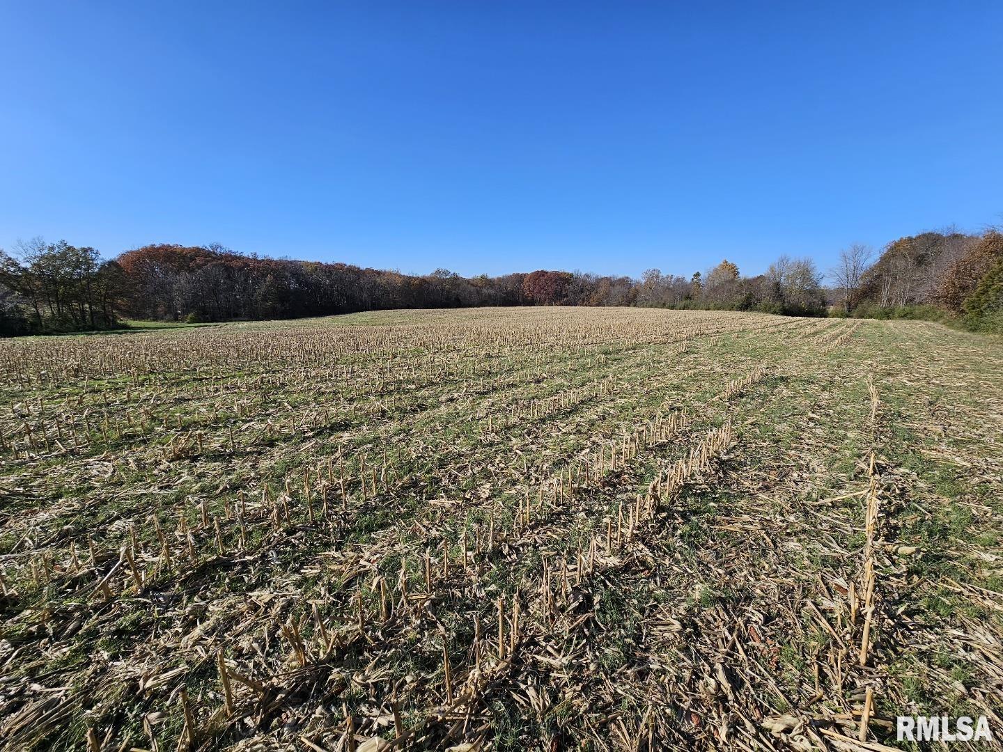 0000 Stanford Lane  Opdyke IL 62872