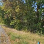 000 ROUTE 3 Highway  Grand Tower IL 62942