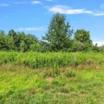 3505 BLUE HERON Court  Springfield IL 62711