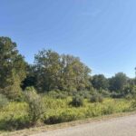 0 County Highway 9   Lewistown IL 61542