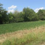 0000 FRISCO Road  Ewing IL 62836