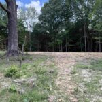 Lot 305 Pecan Point Lane  Goreville IL 62939