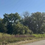 0 County Highway 9   Lewistown IL 61542