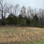 LOT 365&366 Clifty Lane  Goreville IL 62939