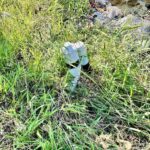 1207 Gentile Street Colp IL 62921